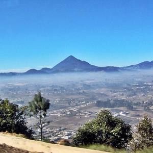 Meet your Posher, Wellington